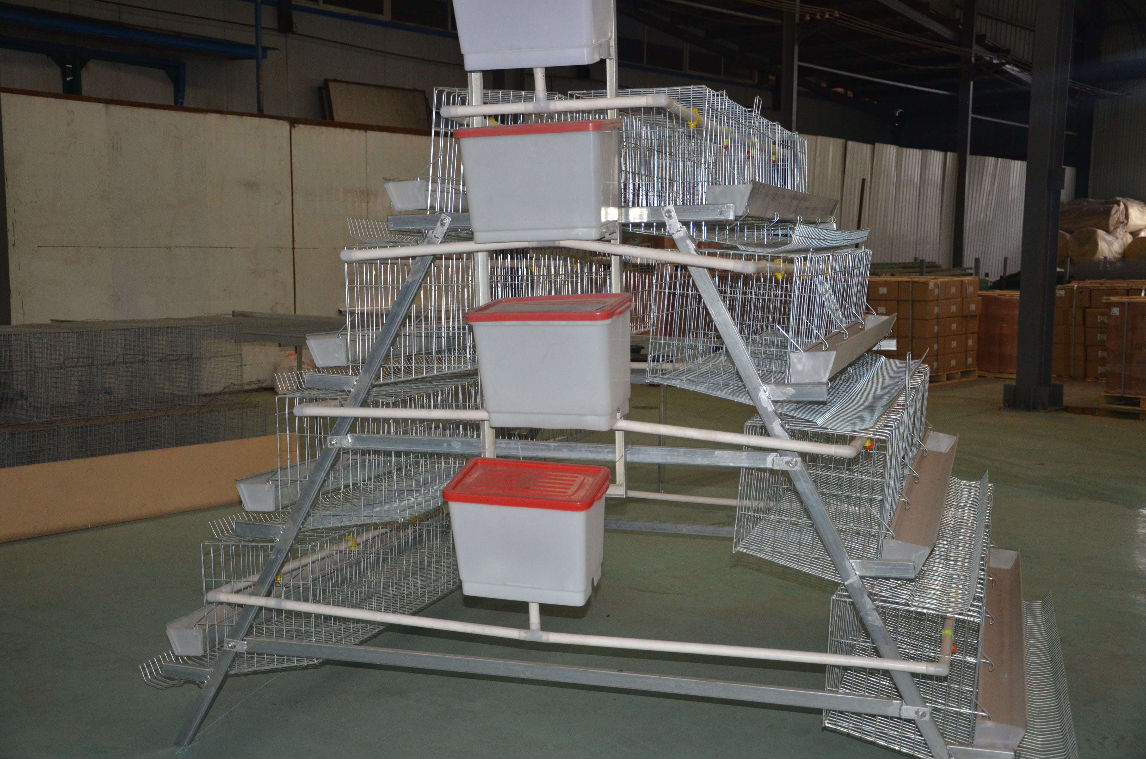 1st Grade Chicken Layer Cages
